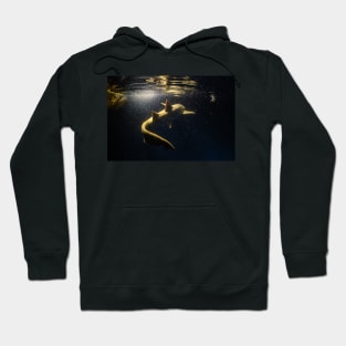 follow me if you can Hoodie